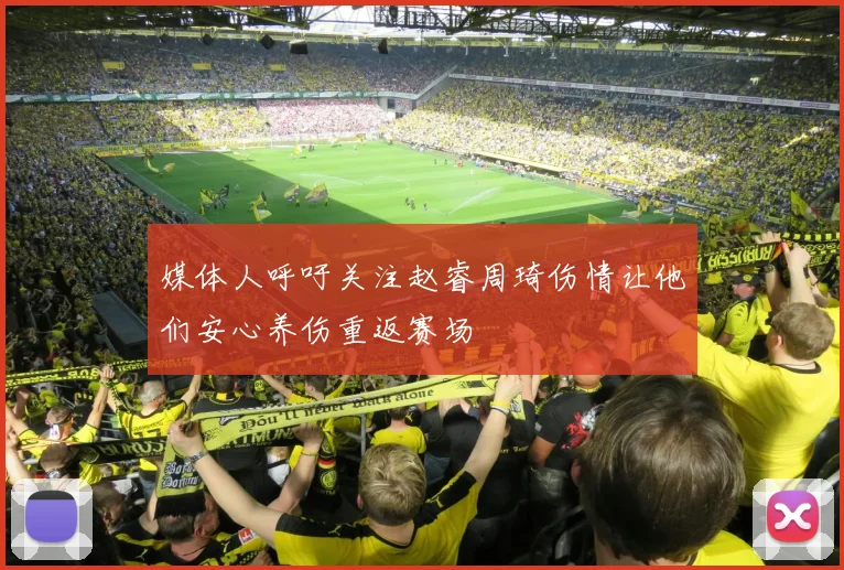 媒体人呼吁关注赵睿周琦伤情让他们安心养伤重返赛场