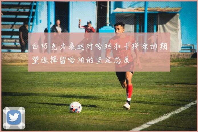 白巧克力表达对哈珀和卡斯尔的期望选择留哈珀的坚定态度