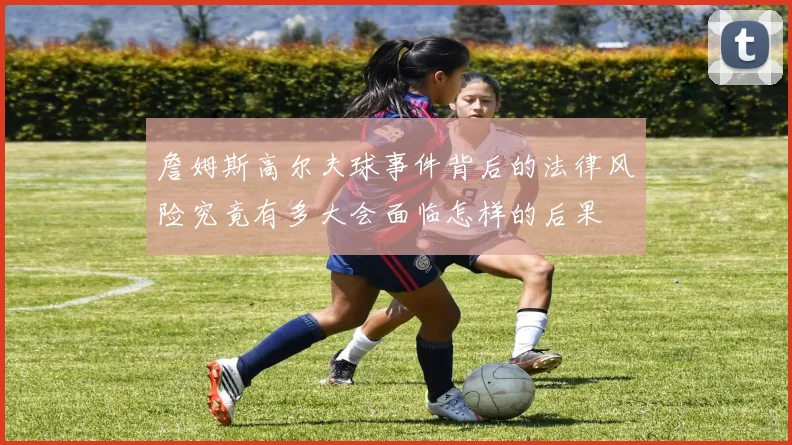 詹姆斯高尔夫球事件背后的法律风险究竟有多大会面临怎样的后果