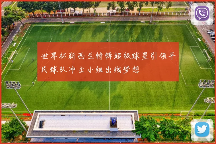 世界杯新西兰特辑超级球星引领平民球队冲击小组出线梦想